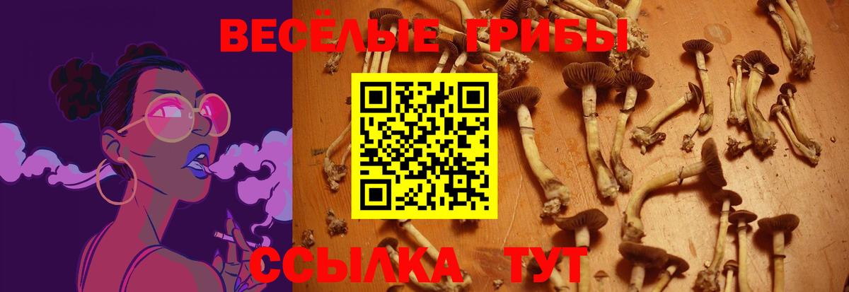 Галлюциногенные грибы мухоморы  Вход с VPN  Энгельс  Псилоцибиновые грибы GOLDEN TEACHER 